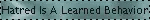 ALT TEXT HERE