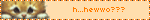 ALT TEXT HERE