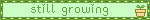 ALT TEXT HERE
