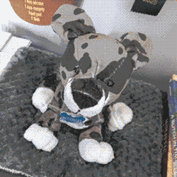 webkinz-style dog plushie with dog tag that says Rosemary