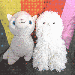 two alpaca plushies