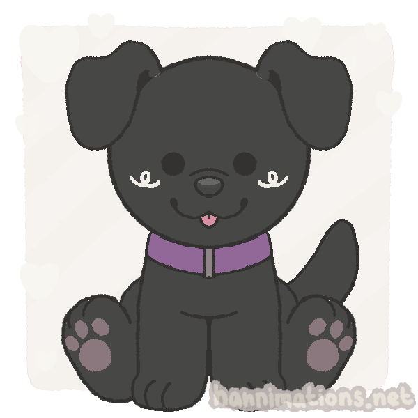 black lab with blue collar