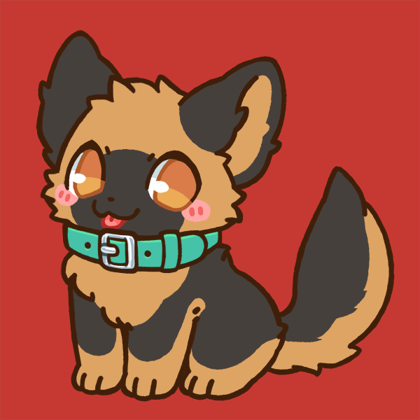 german shepherd wearing blue collar